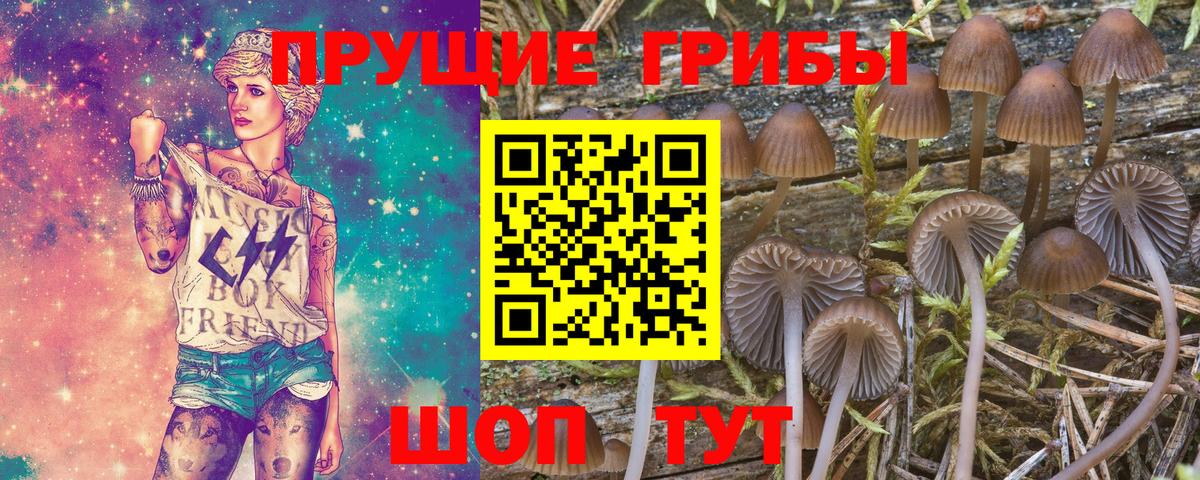 Псилоцибиновые грибы мухоморы  Вход с VPN  Сегежа 